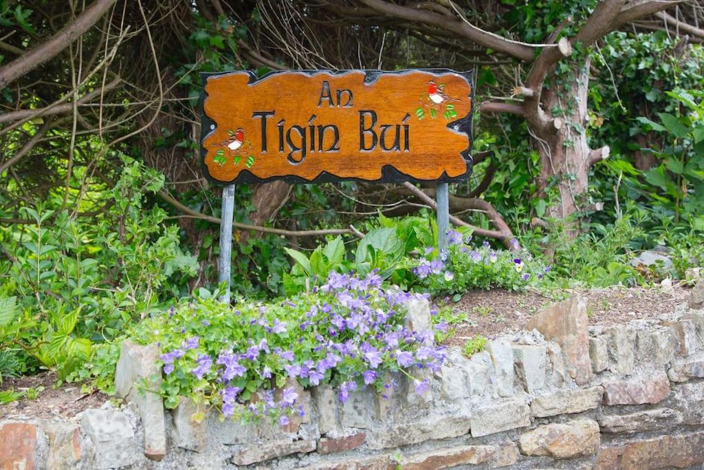 Villa An Tigín Buí Glanbannoo Upper Exterior foto